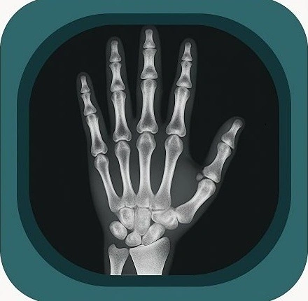 x ray hand anatomy icon